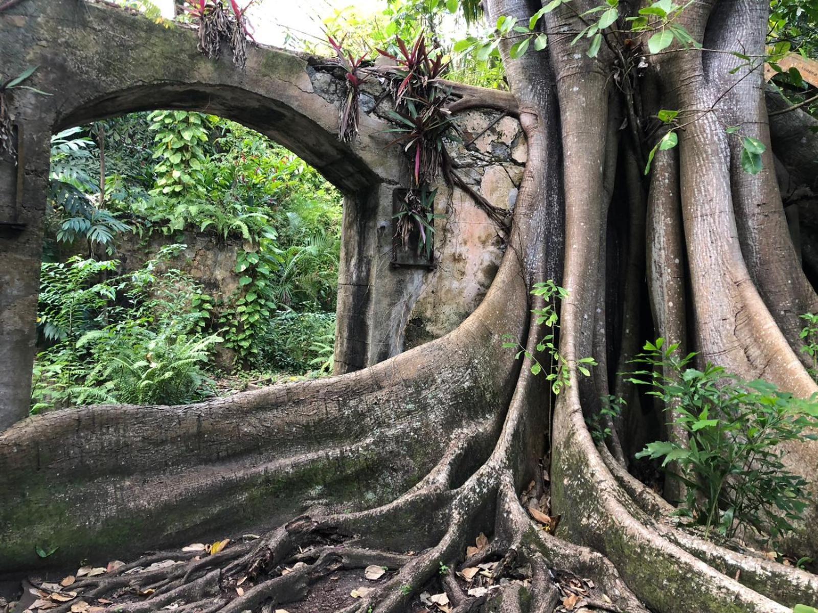 Balenbouche Estate Villa Laborie Dış mekan fotoğraf