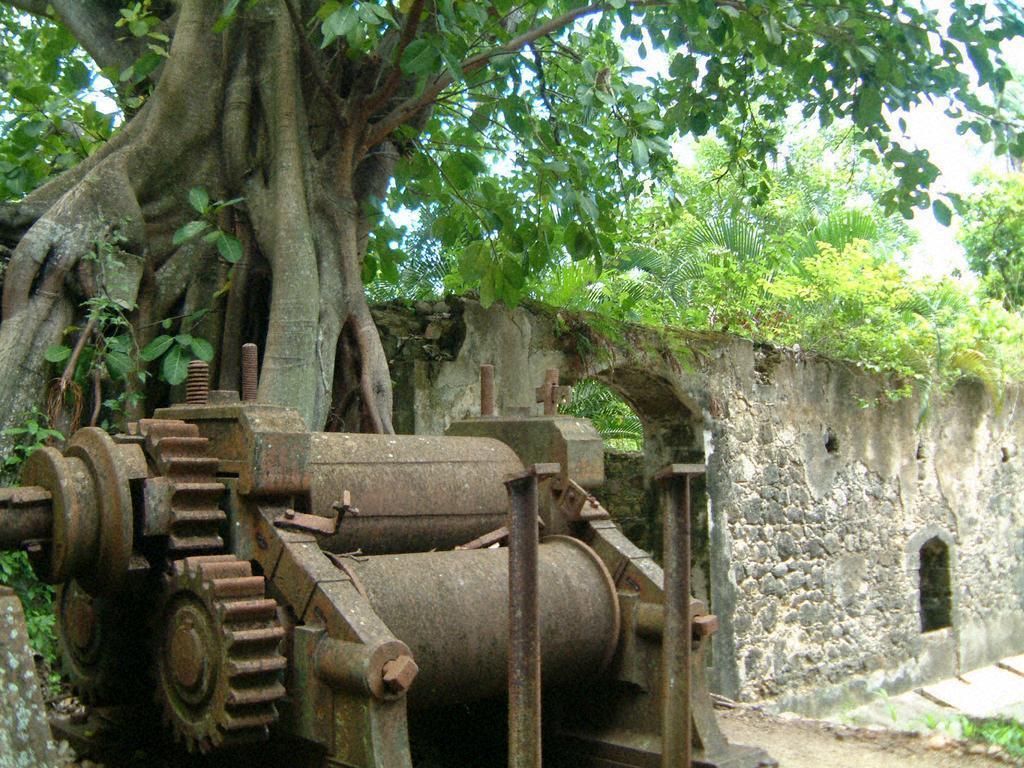 Balenbouche Estate Villa Laborie Dış mekan fotoğraf