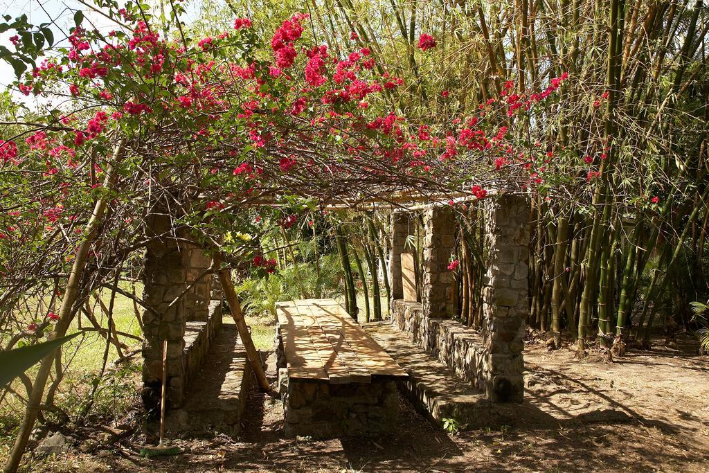 Balenbouche Estate Villa Laborie Dış mekan fotoğraf